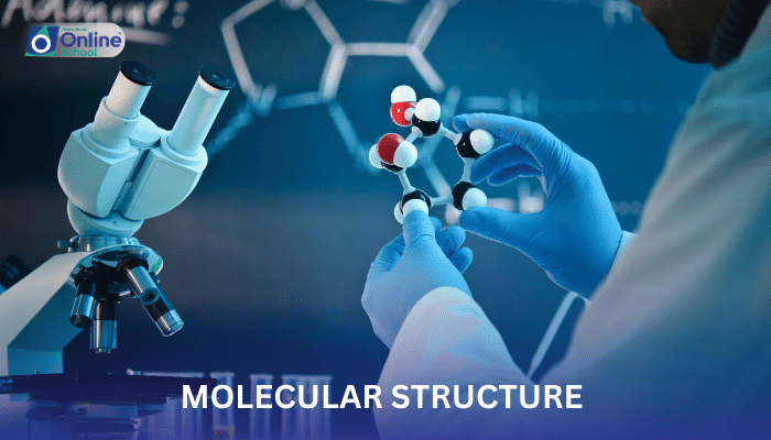 Lesson 20: Molecular Structure (Making and Breaking) of an Acylglycerol, a Phospholipid, and a Terpene